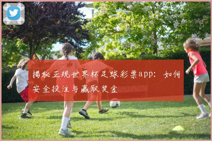 揭秘正规世界杯足球彩票app：如何安全投注与赢取奖金