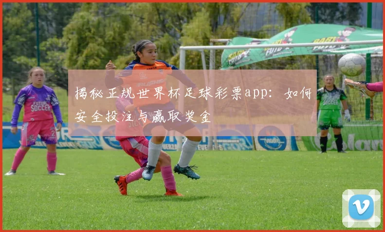 揭秘正规世界杯足球彩票app：如何安全投注与赢取奖金